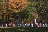 A group of people are gathered outdoors, sitting on a grassy area surrounded by trees with vibrant autumn leaves. The atmosphere implies a peaceful, communal event, possibly a gathering or a speech, with a podium and speakers set up. The trees display a variety of colors, mainly orange, green, and hints of yellow, adding depth to the scene under clear skies.