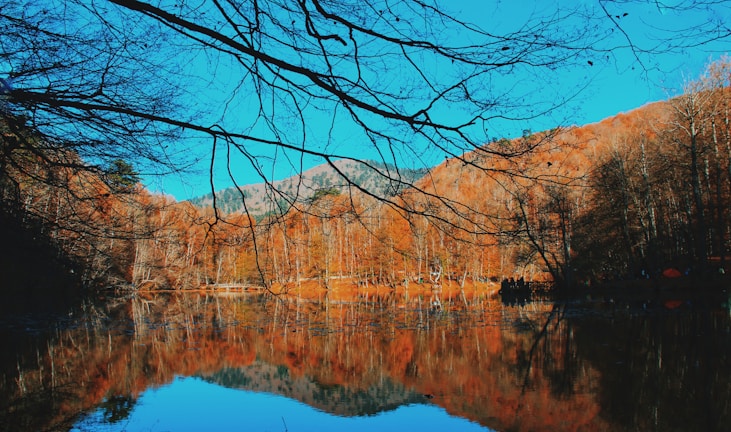 A tranquil mountain lake reflecting colorful autumn trees with a crossword puzzle overlay.