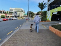 A person in casual attire walks a dog on a paved walkway next to an urban street. Buildings with signage are on the left side, while a parking garage and palm trees are on the right. Cars and pedestrians are visible in the background under a clear blue sky.
