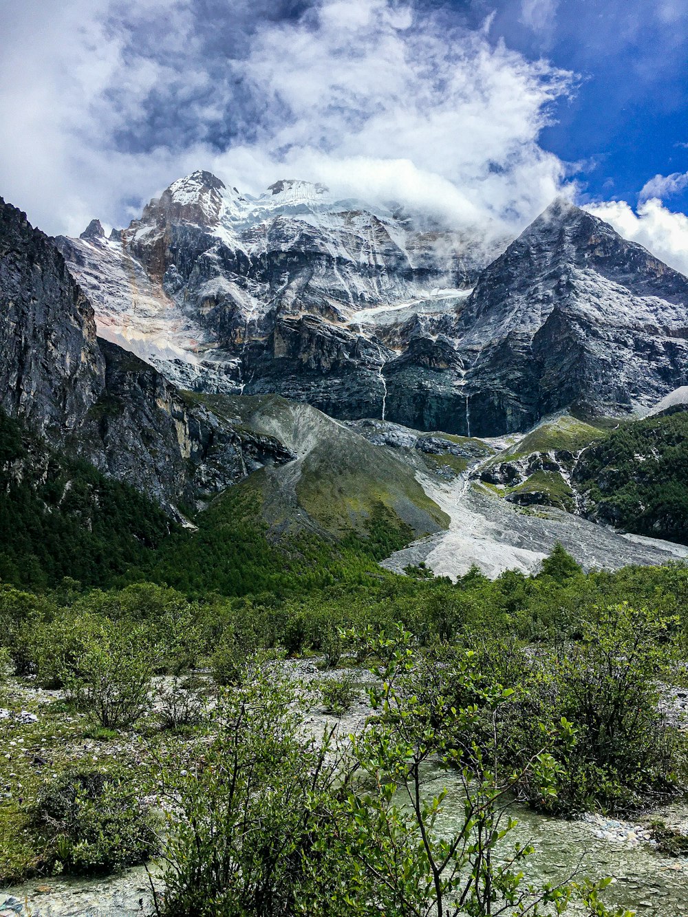 green grass and trees covered mountain