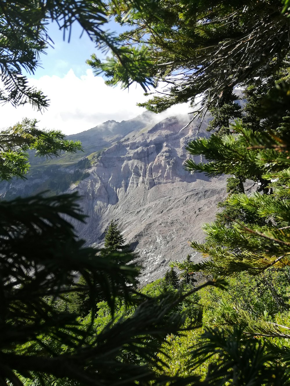 green trees near gray mountain during daytime