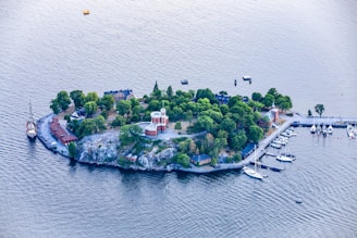 aerial view of green trees on island during daytime