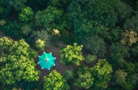 An aerial view of a lush green forest with dense trees surrounding a large, turquoise-colored tent located in the center. The area is rich with greenery and the canopy of the trees casts shadows on the ground below.