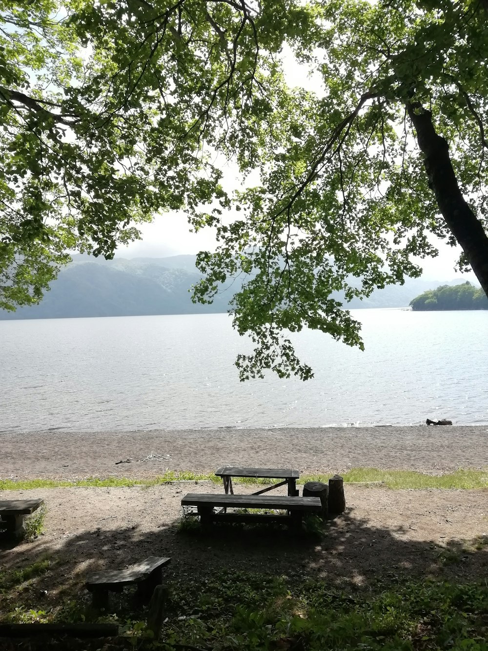 black wooden bench near body of water during daytime