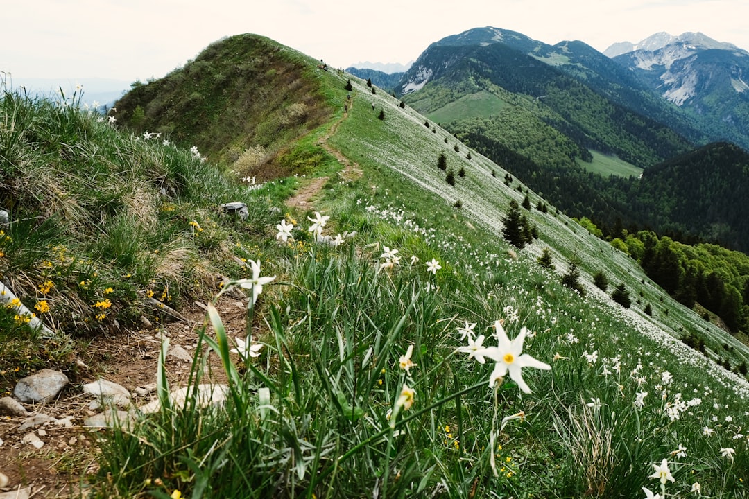 Mountain photo spot Golica Piran