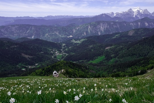 green grass field and mountains during daytime in Golica Slovenia