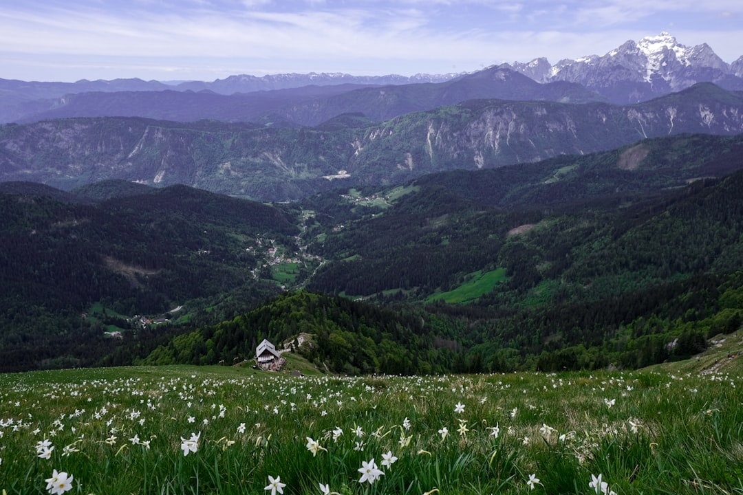 Ecoregion photo spot Golica Bovec