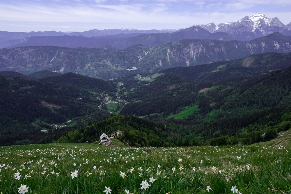 green grass field and mountains during daytime