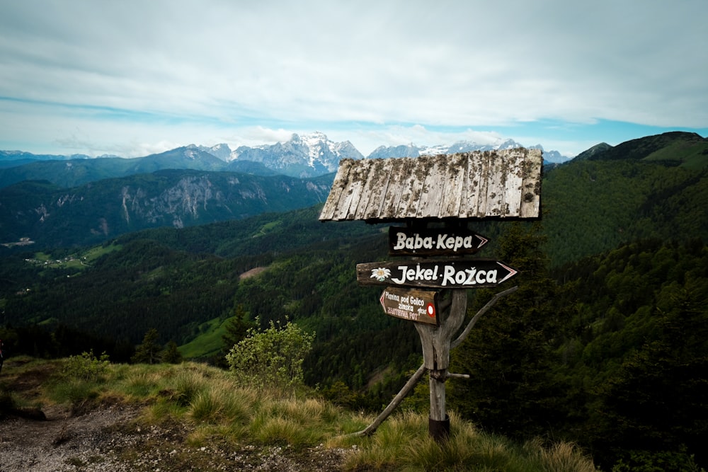 brown wooden signage on green grass field near mountain under white clouds during daytime