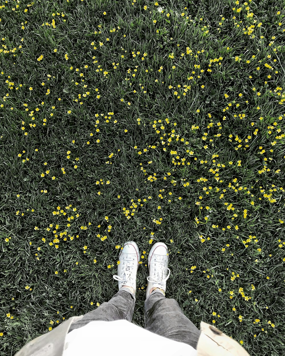 persona in pantaloni grigi e scarpe da ginnastica bianche in piedi su foglie gialle