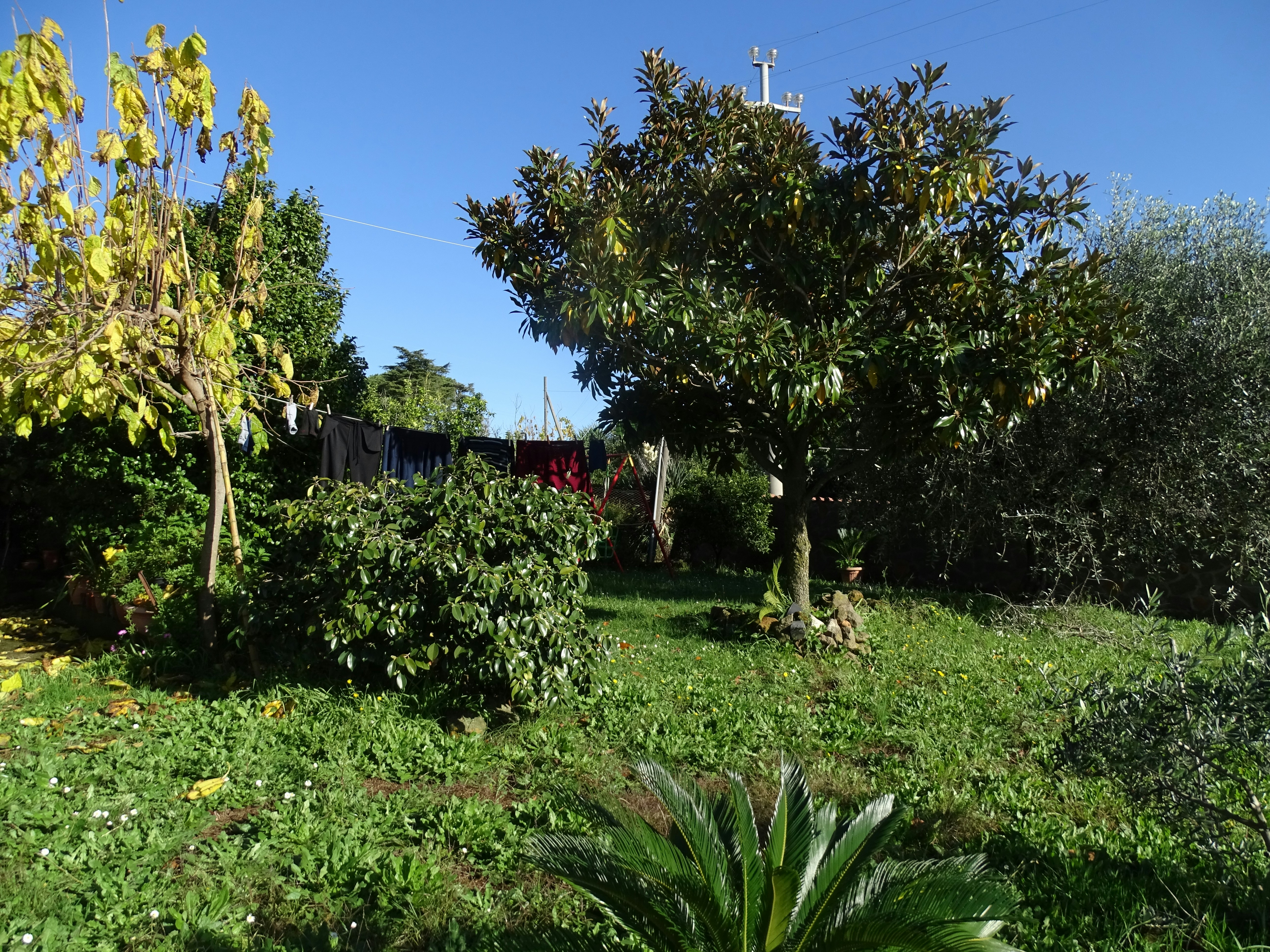 Photo by paololentini