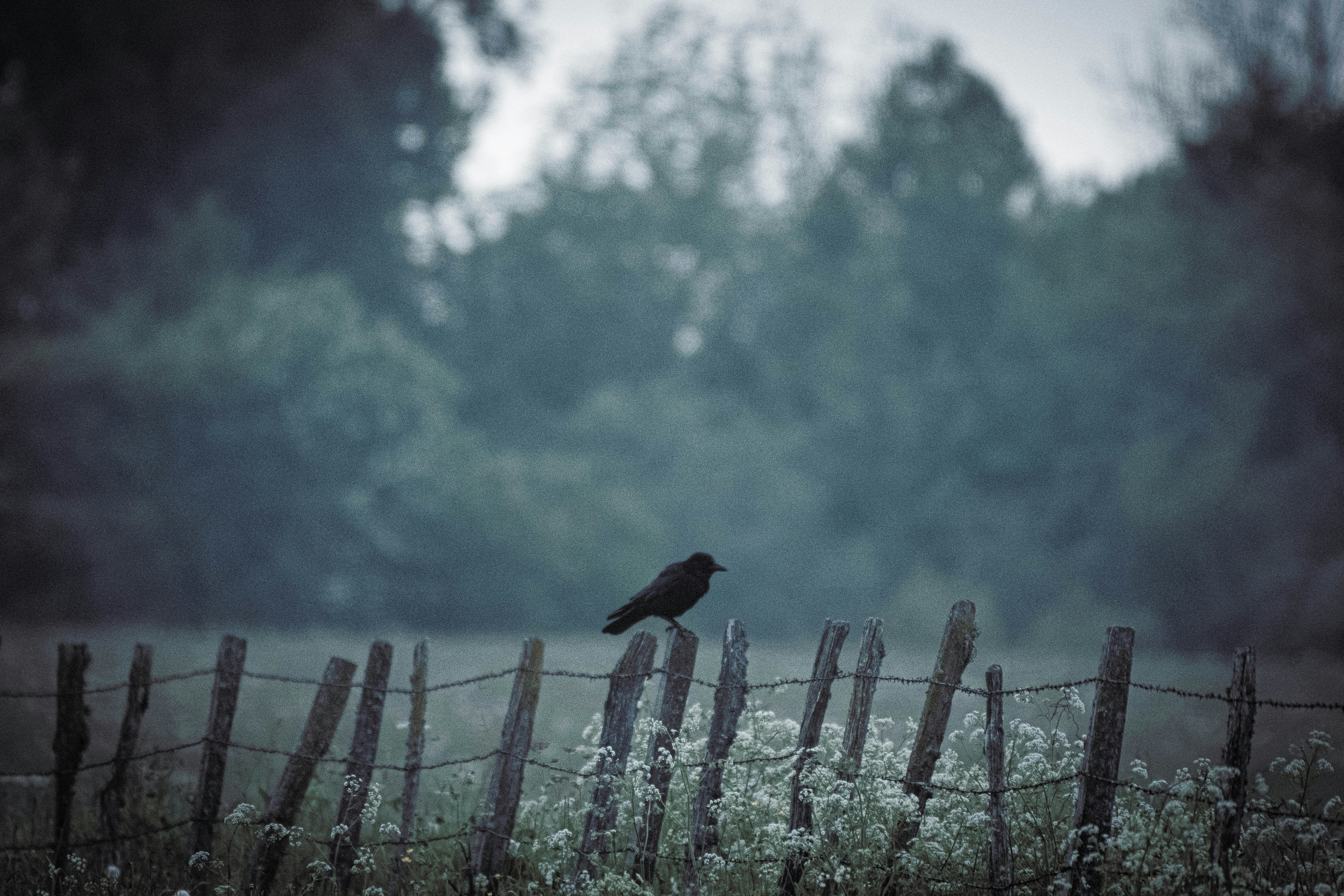 Photo by evrard_vanespen