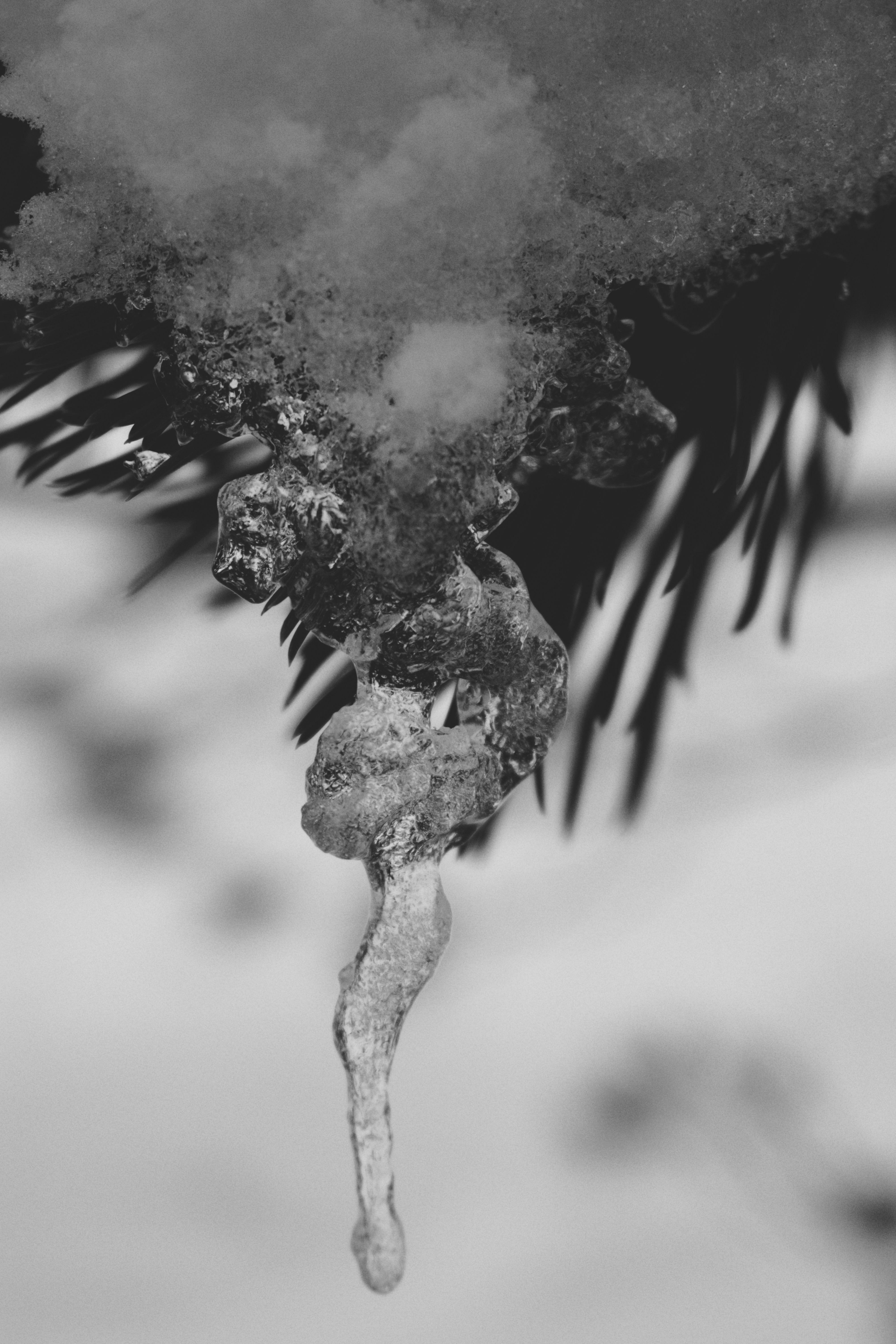 Photo by evrard_vanespen