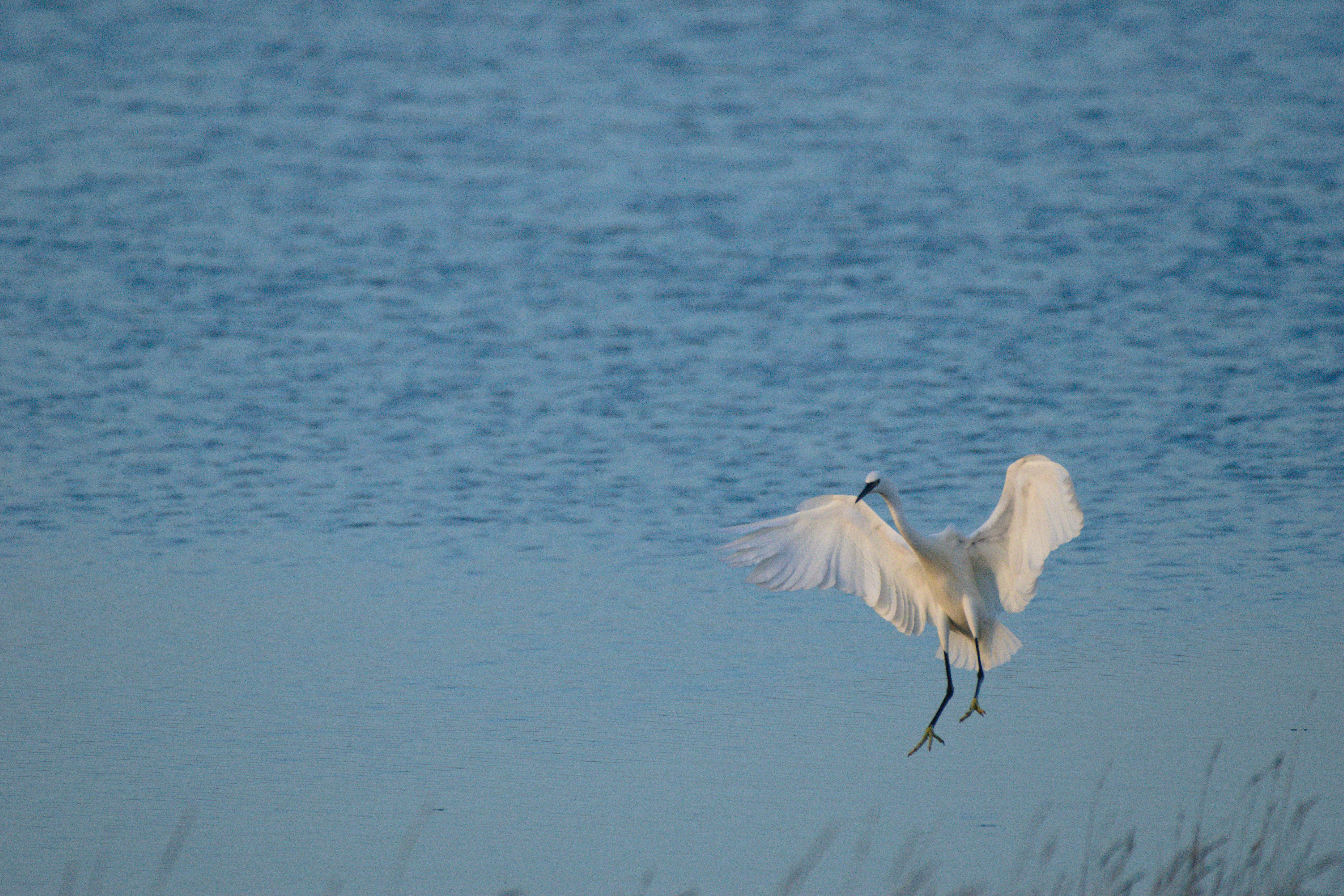 Photo by evrard_vanespen