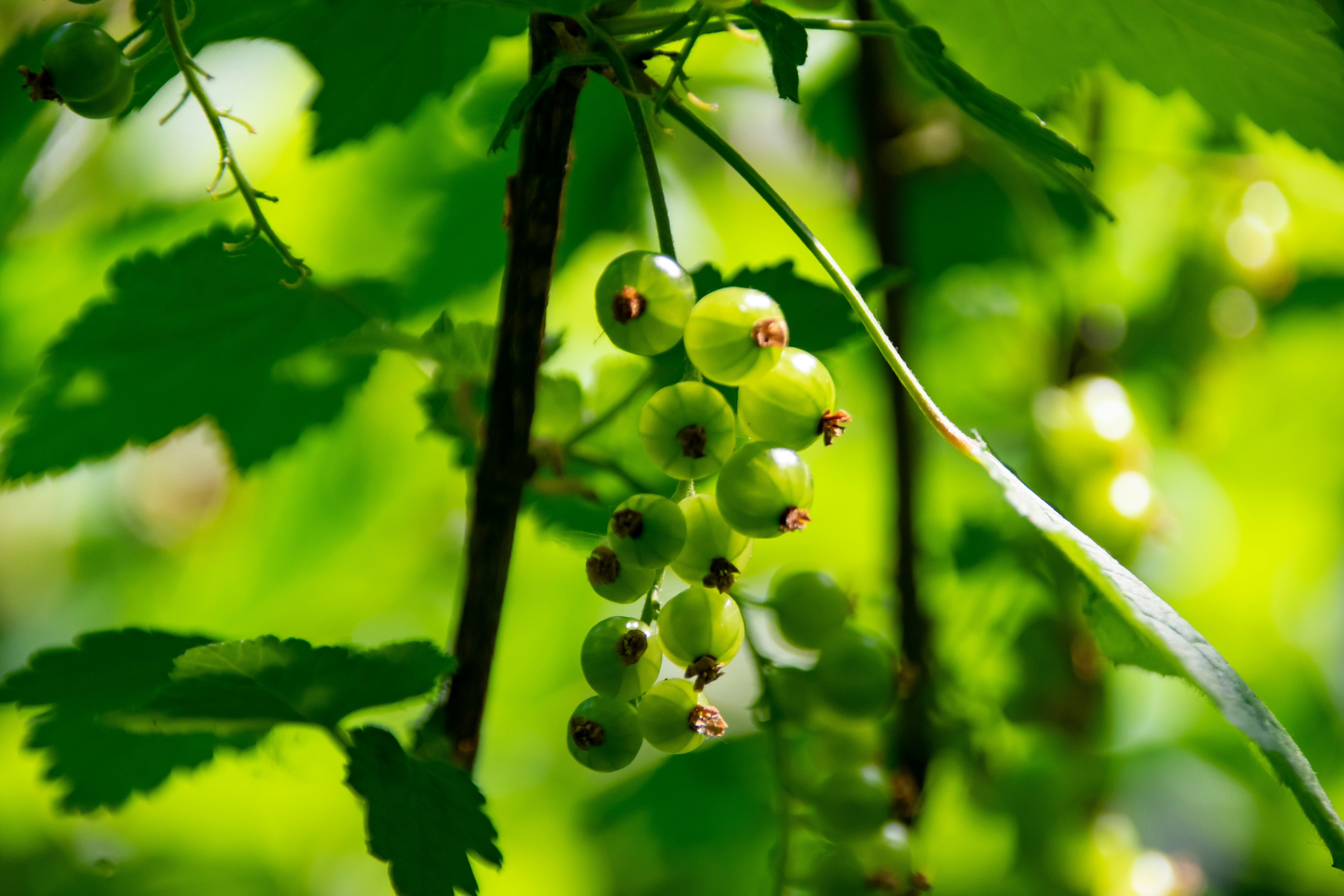 Photo by marc_renken