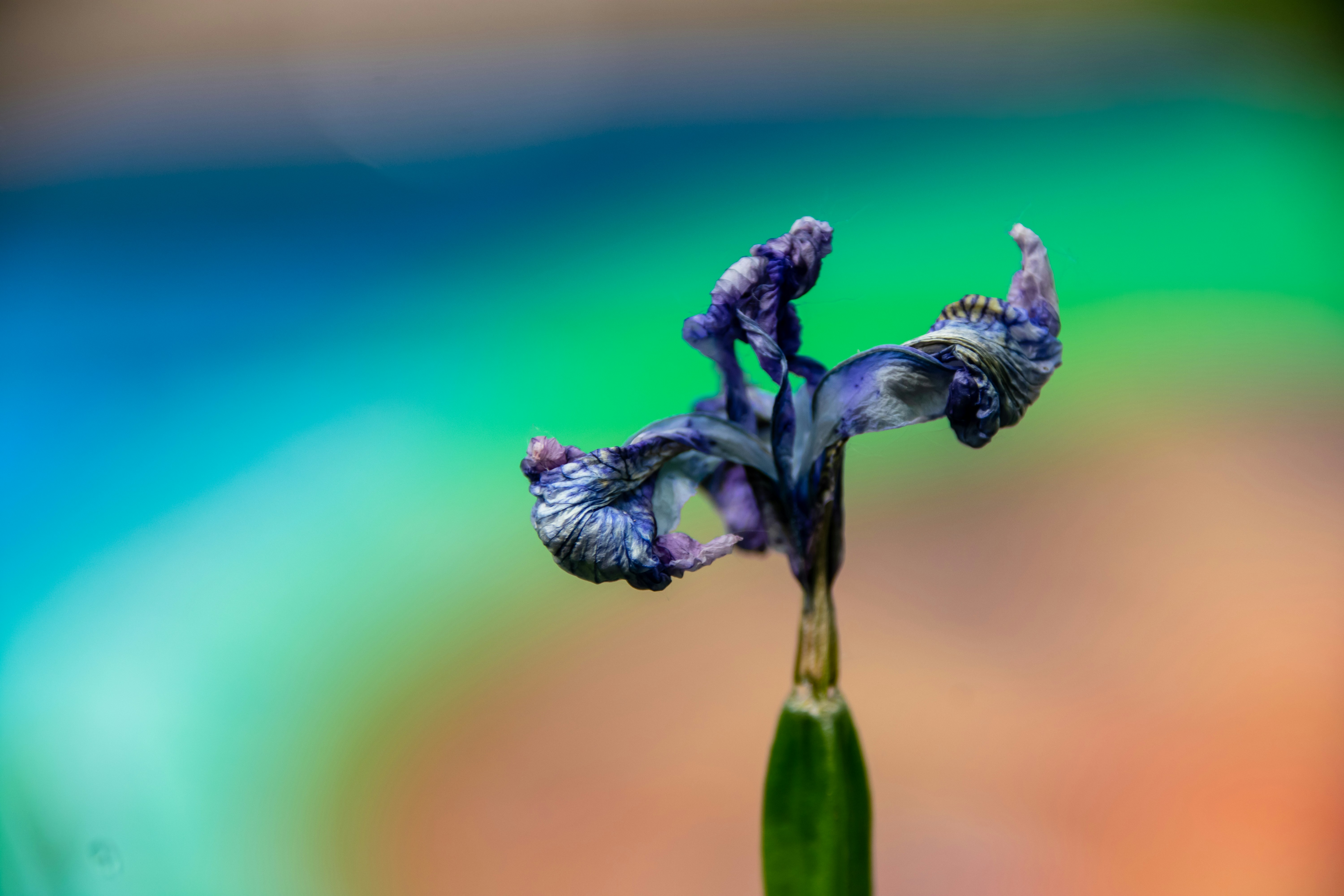 Photo by marc_renken