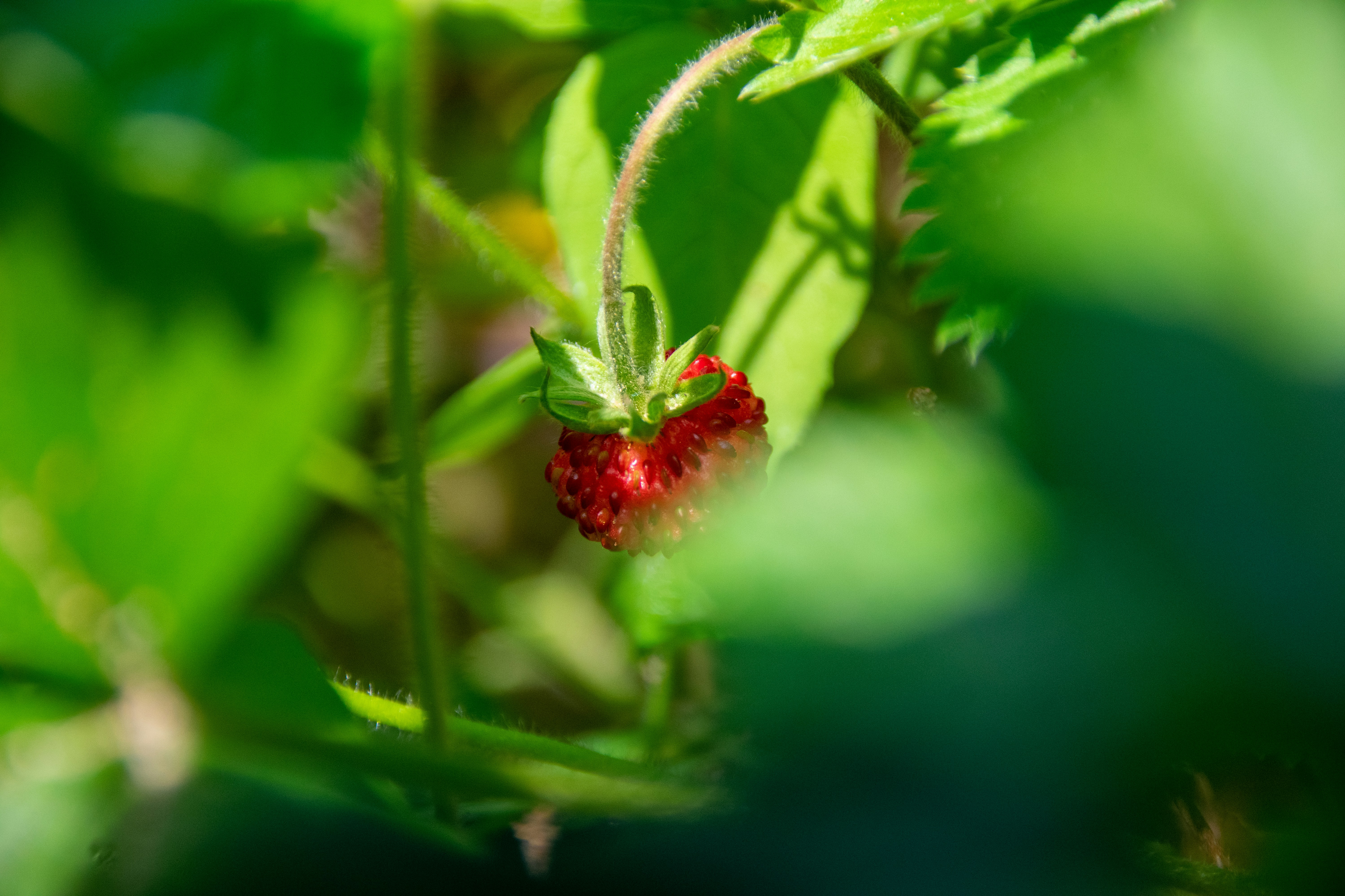 Photo by marc_renken