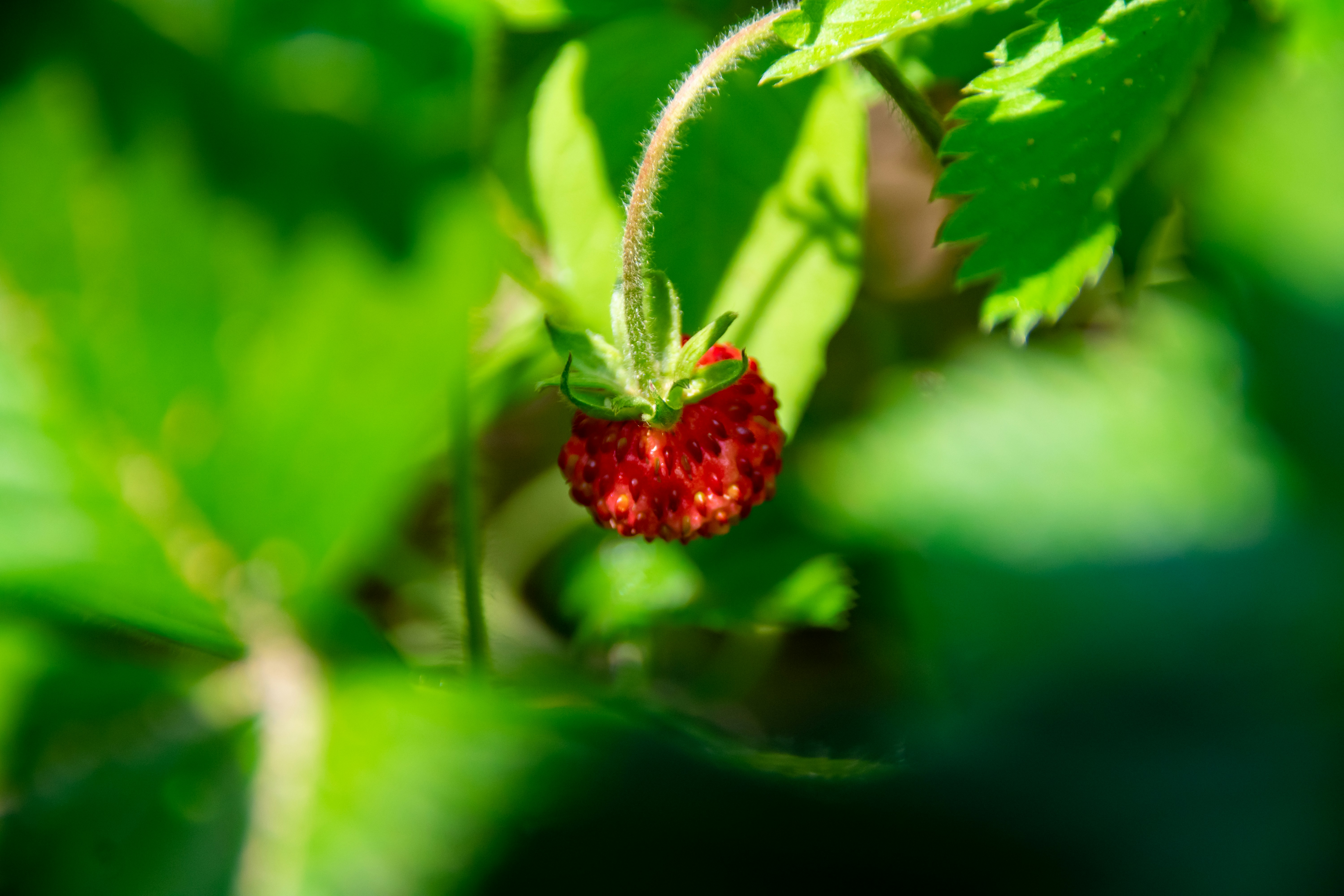 Photo by marc_renken