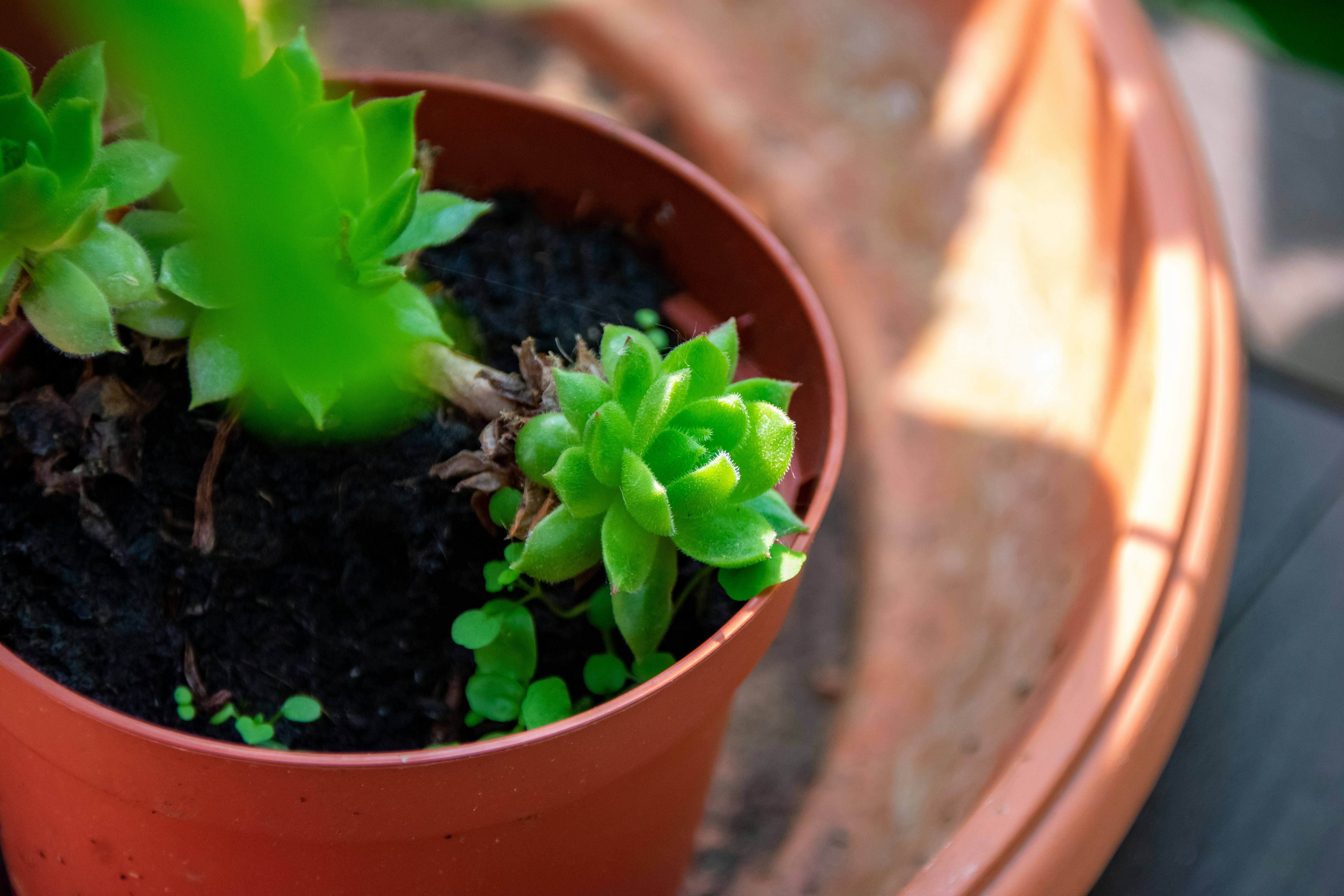 Photo by marc_renken