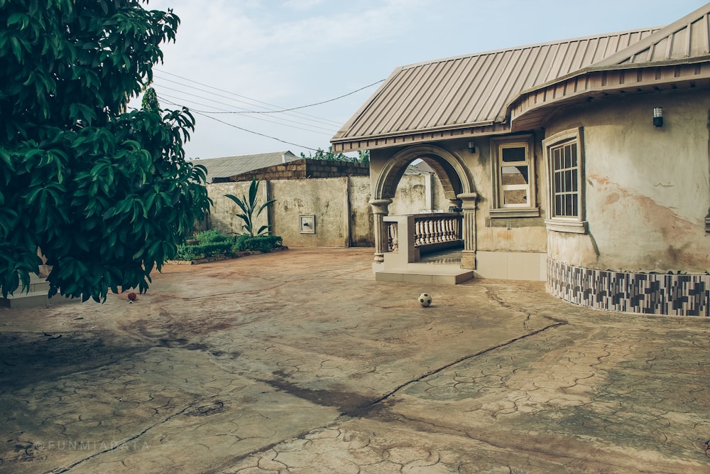 green tree beside brown concrete building during daytime