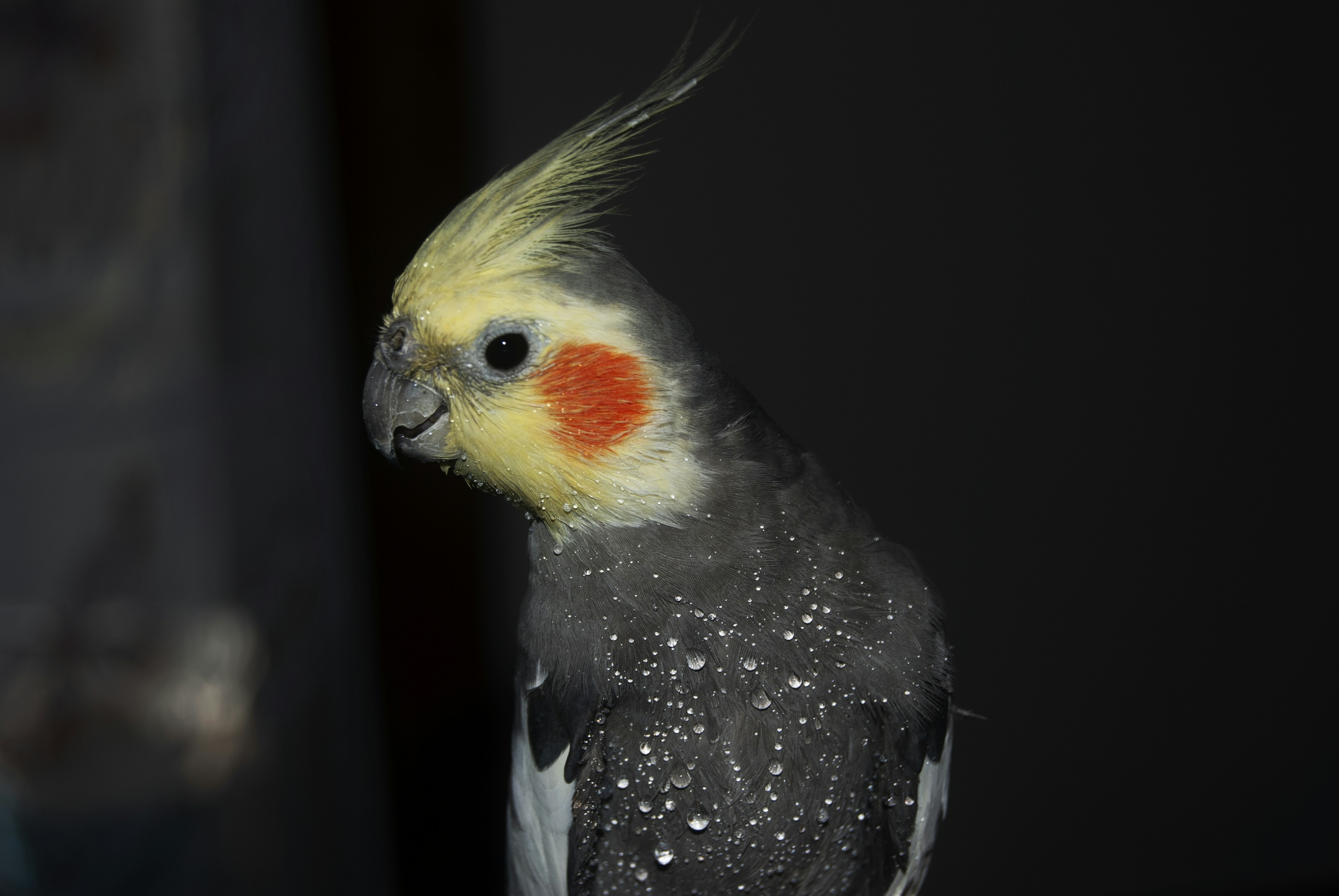 Photo by marcobalasso