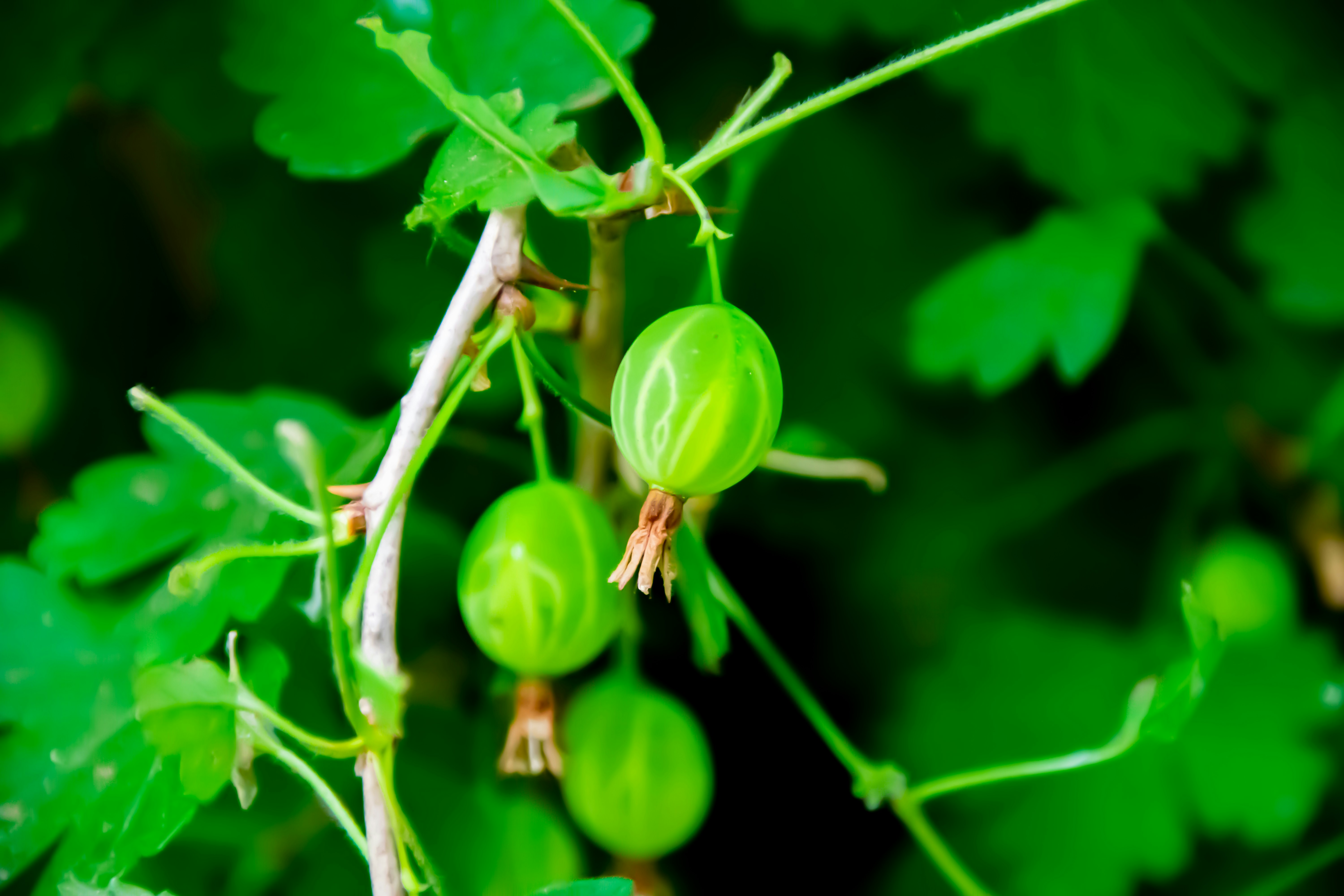 Photo by marc_renken