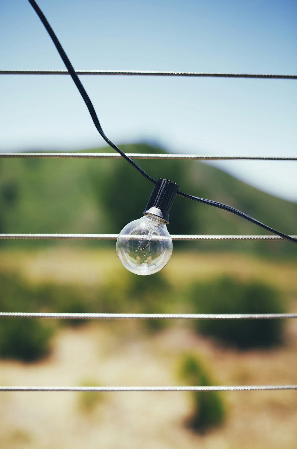 light bulb in tilt shift lens