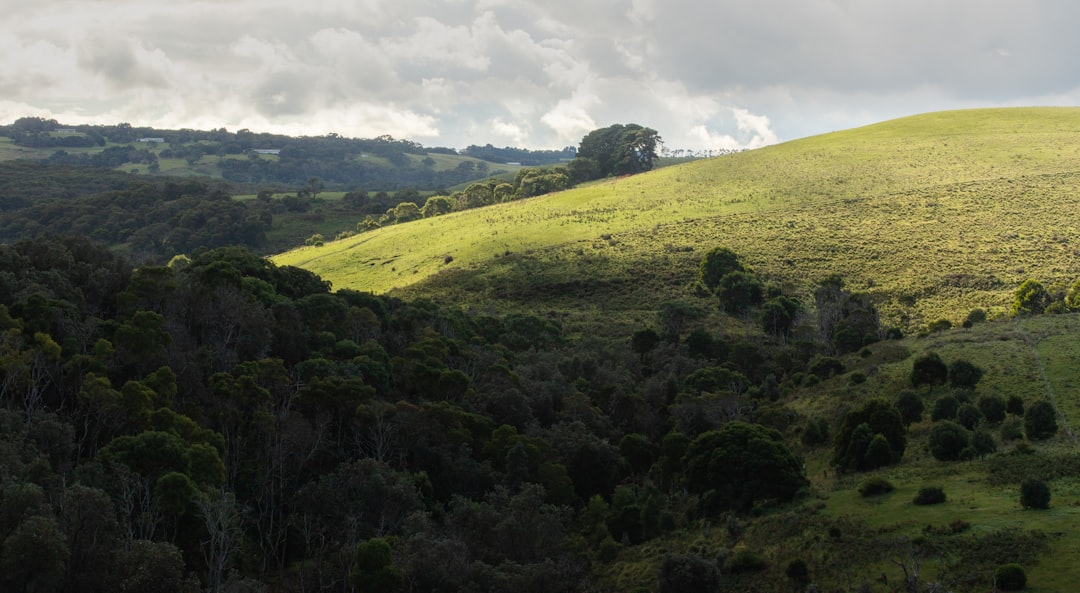 Hill photo spot Cape Schanck VIC Mount Dandenong