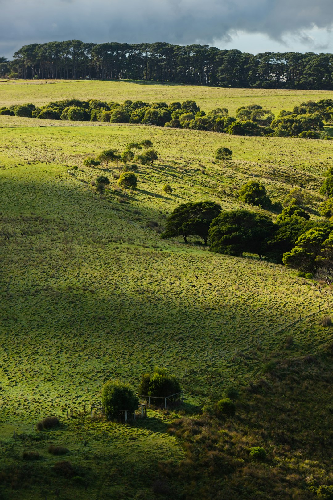 photo of Cape Schanck VIC Hill near Bay Trail