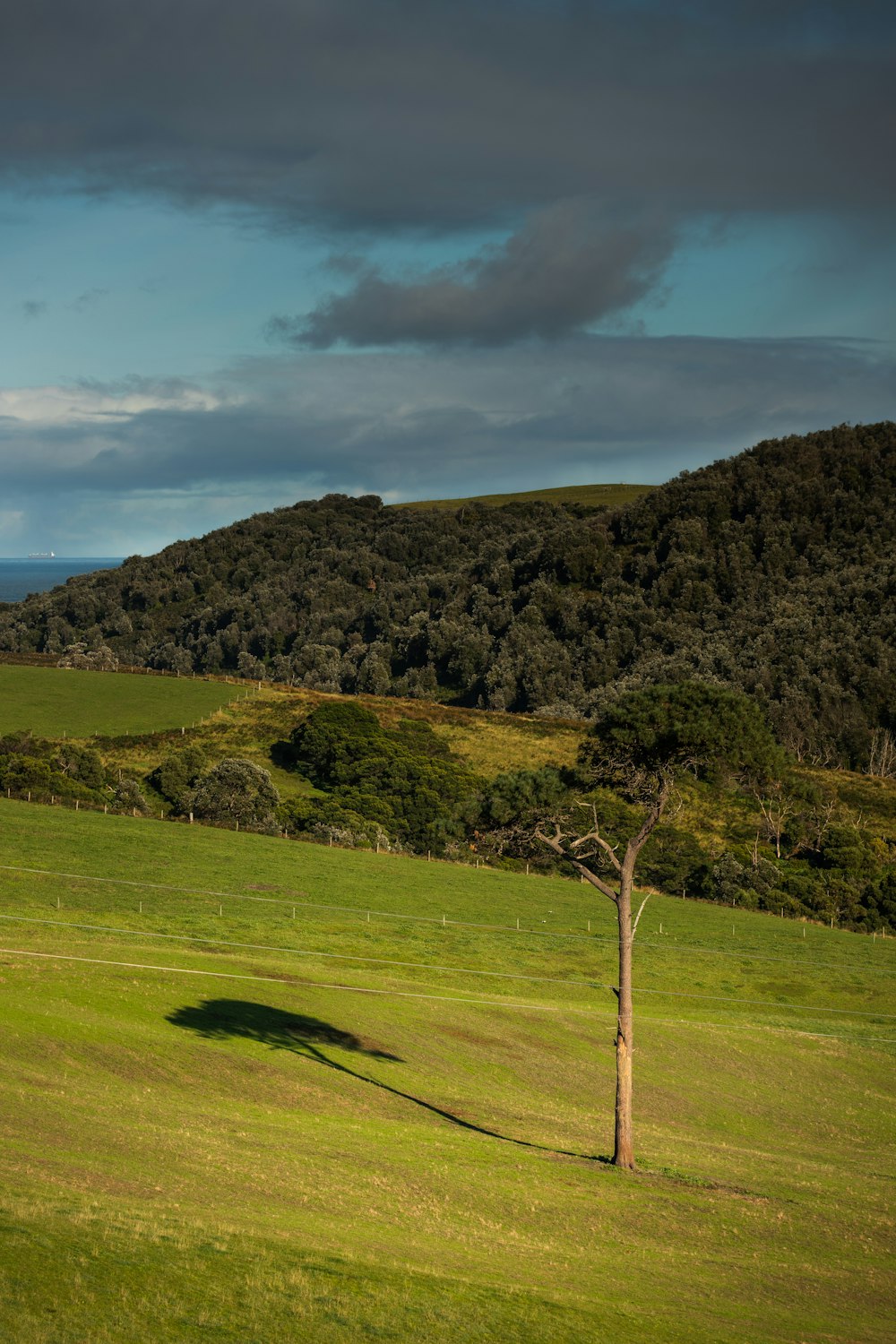 green grass field near mountain under cloudy sky during daytime