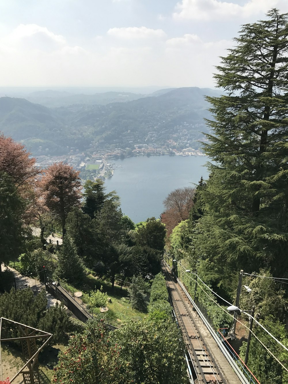 green trees near body of water during daytime