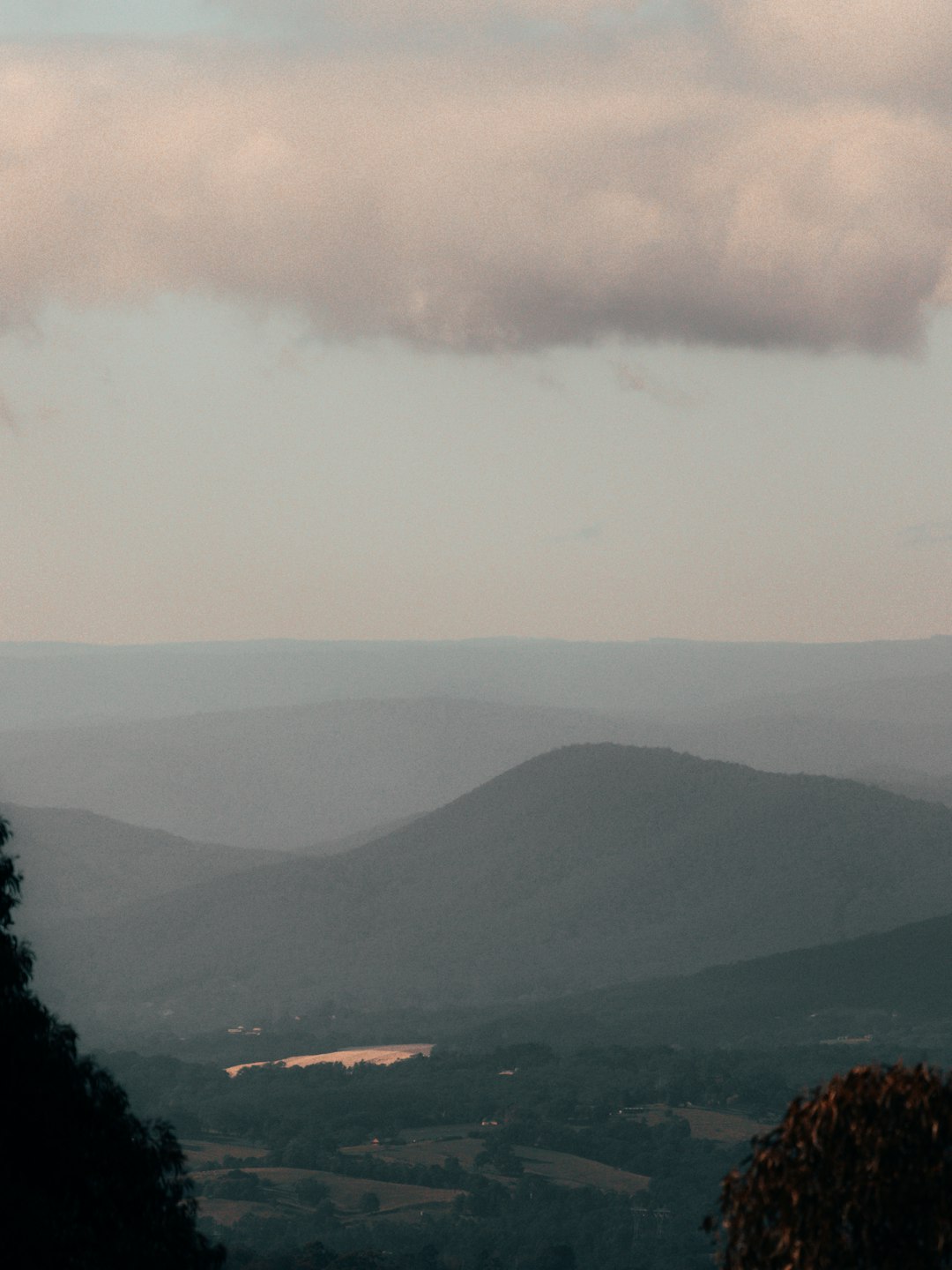 Hill photo spot Dandenong Ranges Botanic Garden Cathedral Range State Park