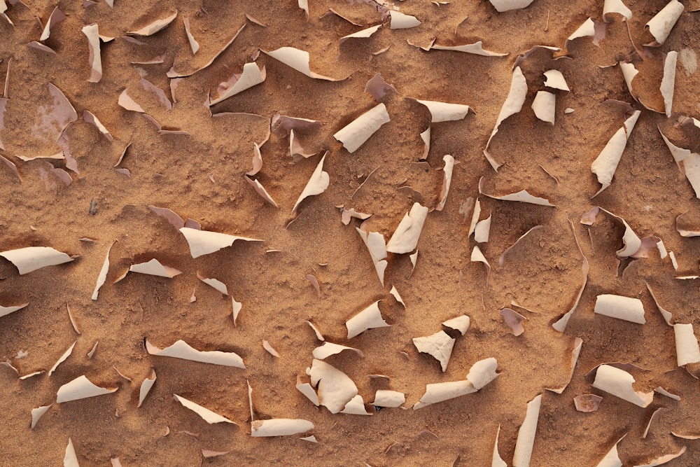 brown and white animal paw print textile