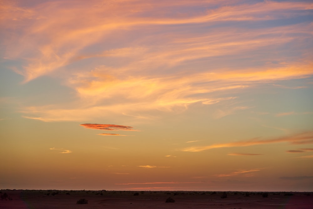 silhouette of people on beach during sunset