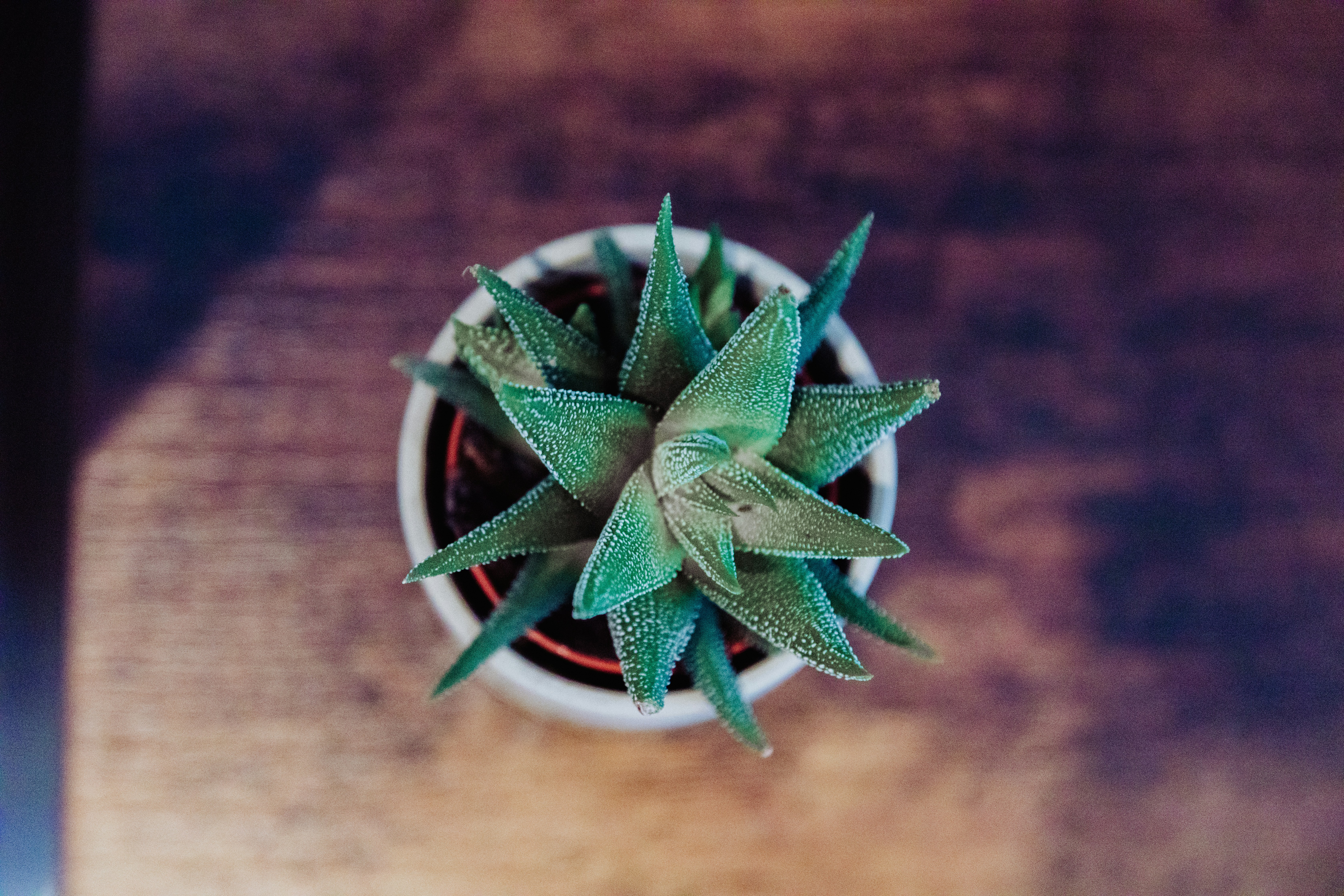 Photo by nicolasjleclercq