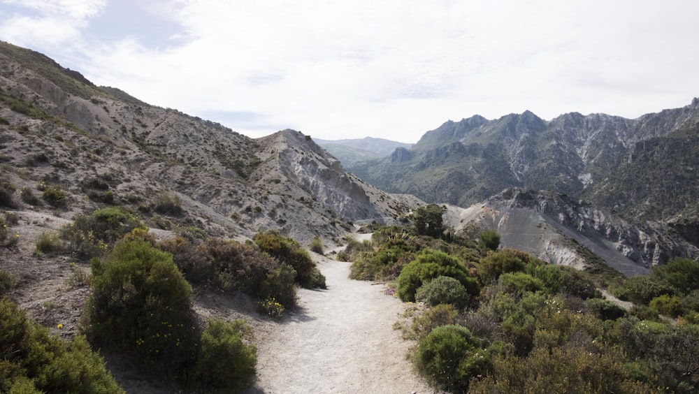 árboles verdes cerca de la montaña bajo nubes blancas durante el día