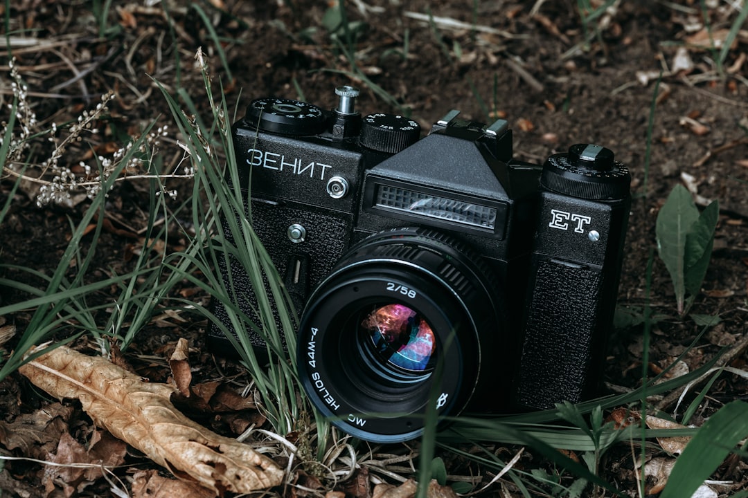 black nikon dslr camera on dried leaves