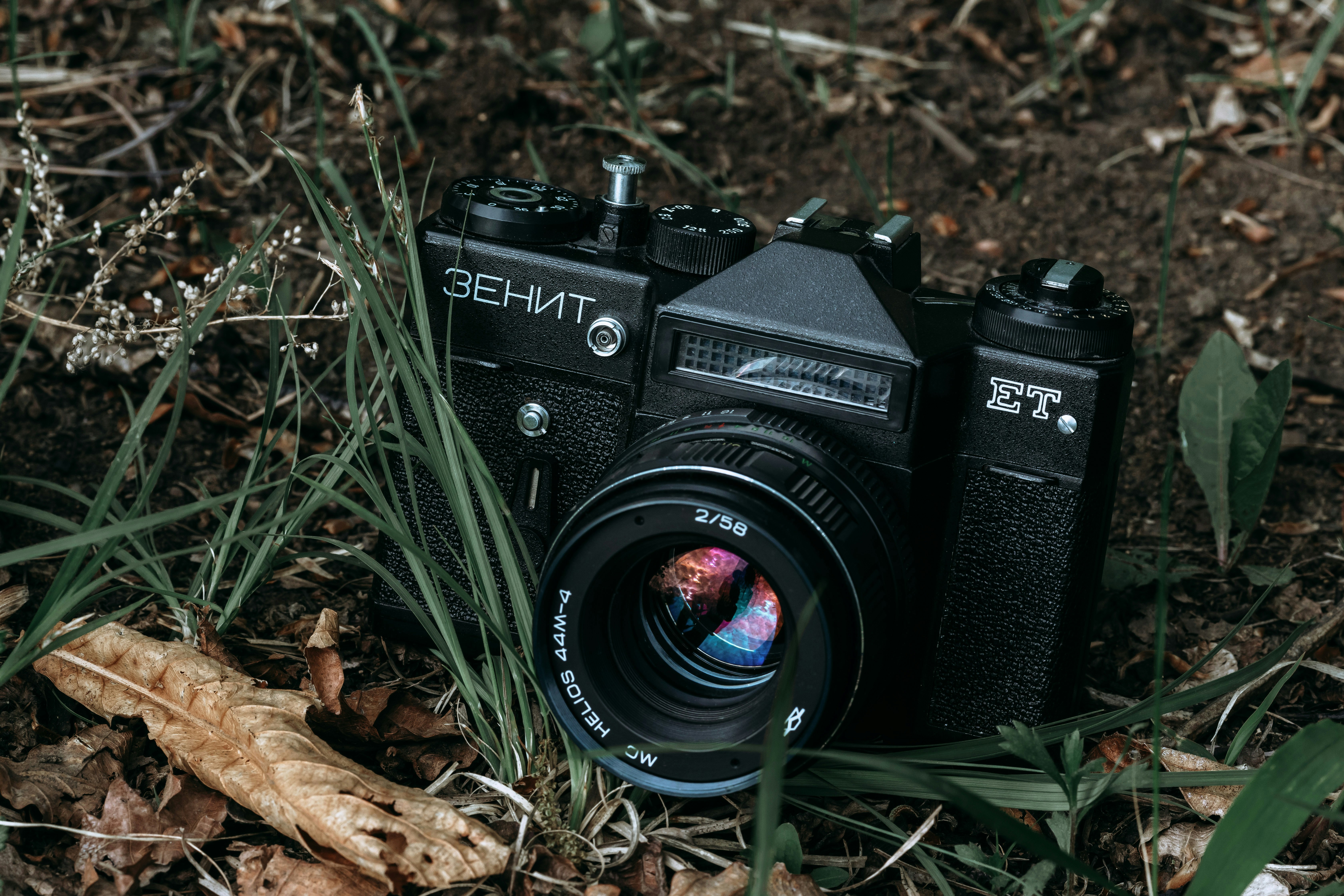 black nikon dslr camera on dried leaves