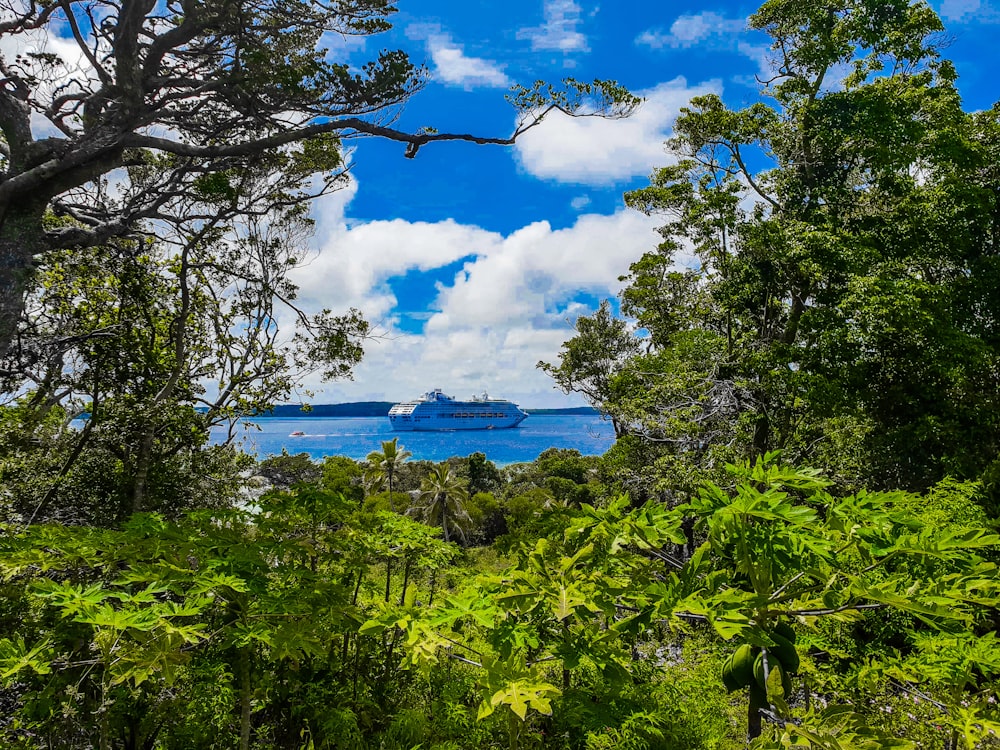 alberi verdi vicino al mare blu sotto il cielo blu e le nuvole bianche durante il giorno