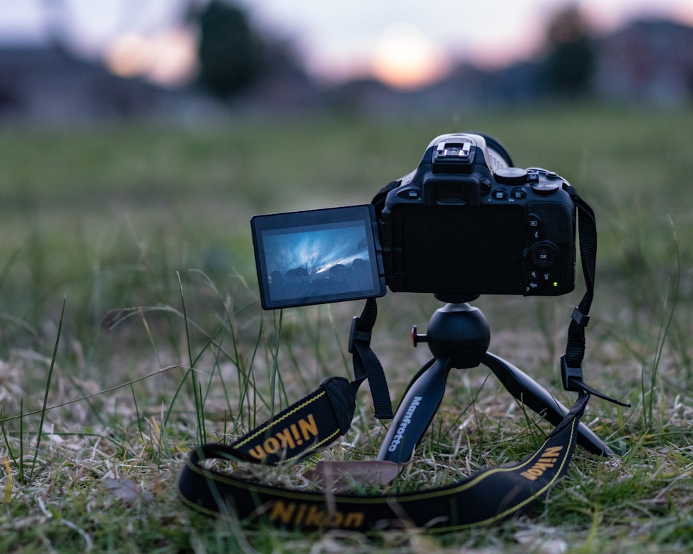 black dslr camera on green grass during daytime