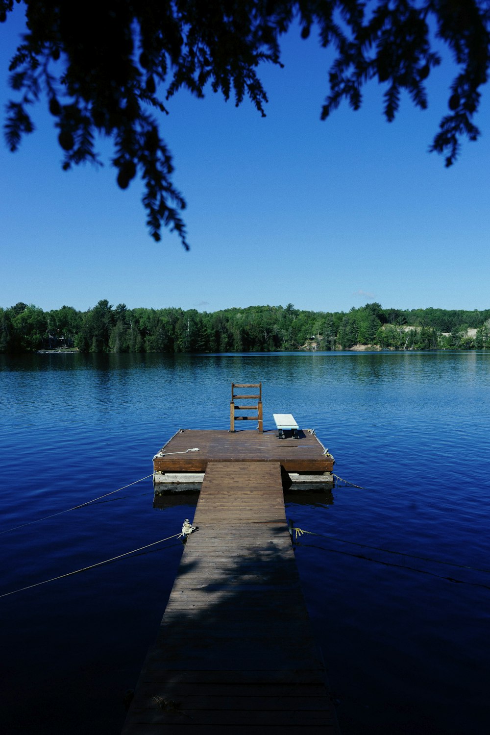 brown wooden dock on lake during daytime