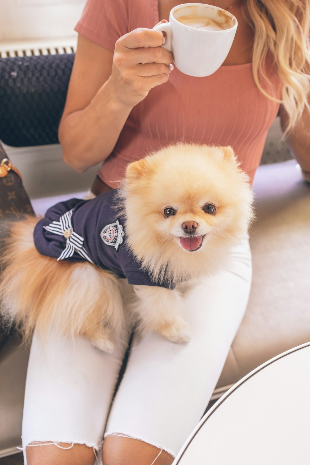 brown pomeranian puppy wearing black and white striped shirt