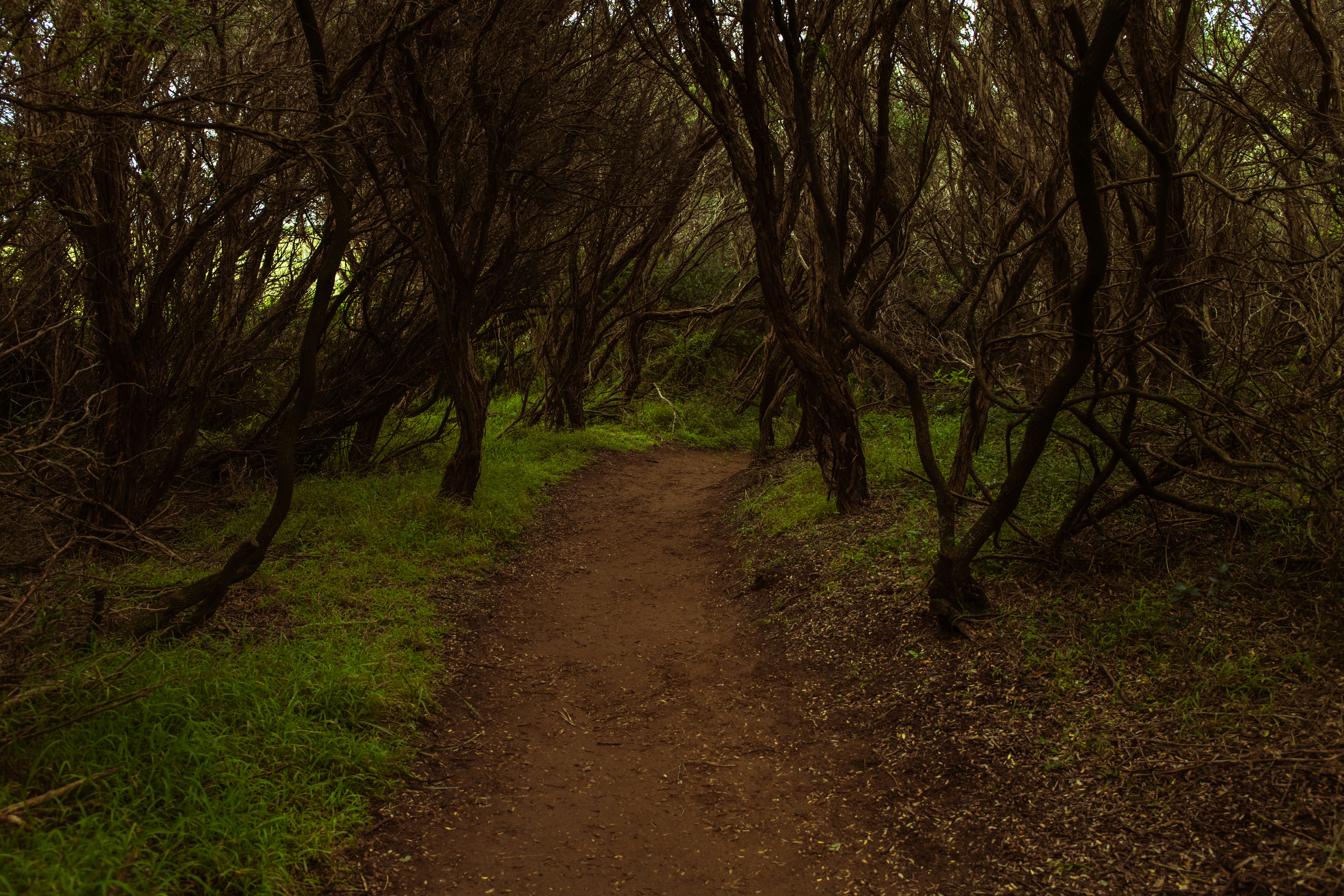 Photo by mitchel3uo