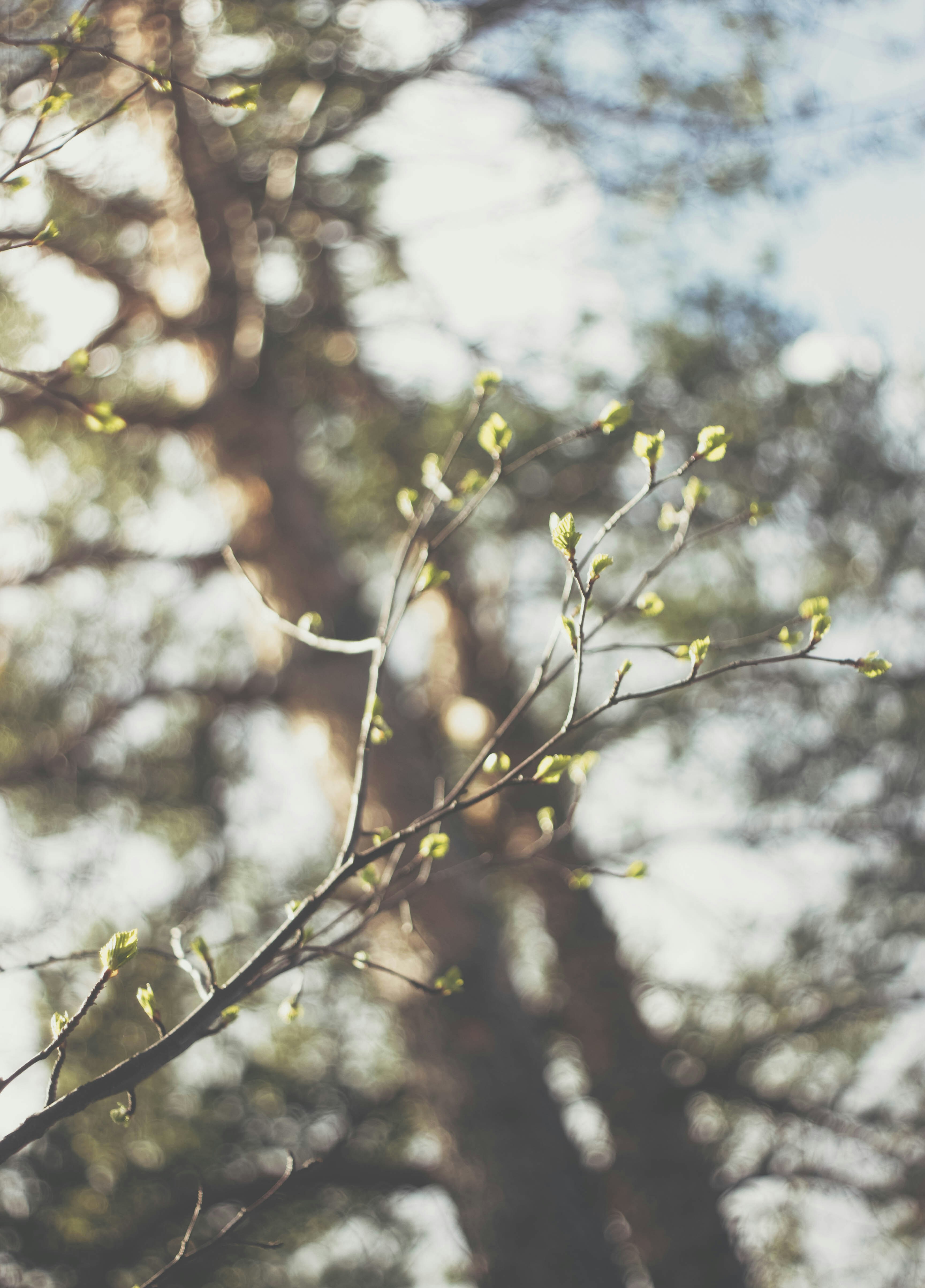 Photo by mood_walker