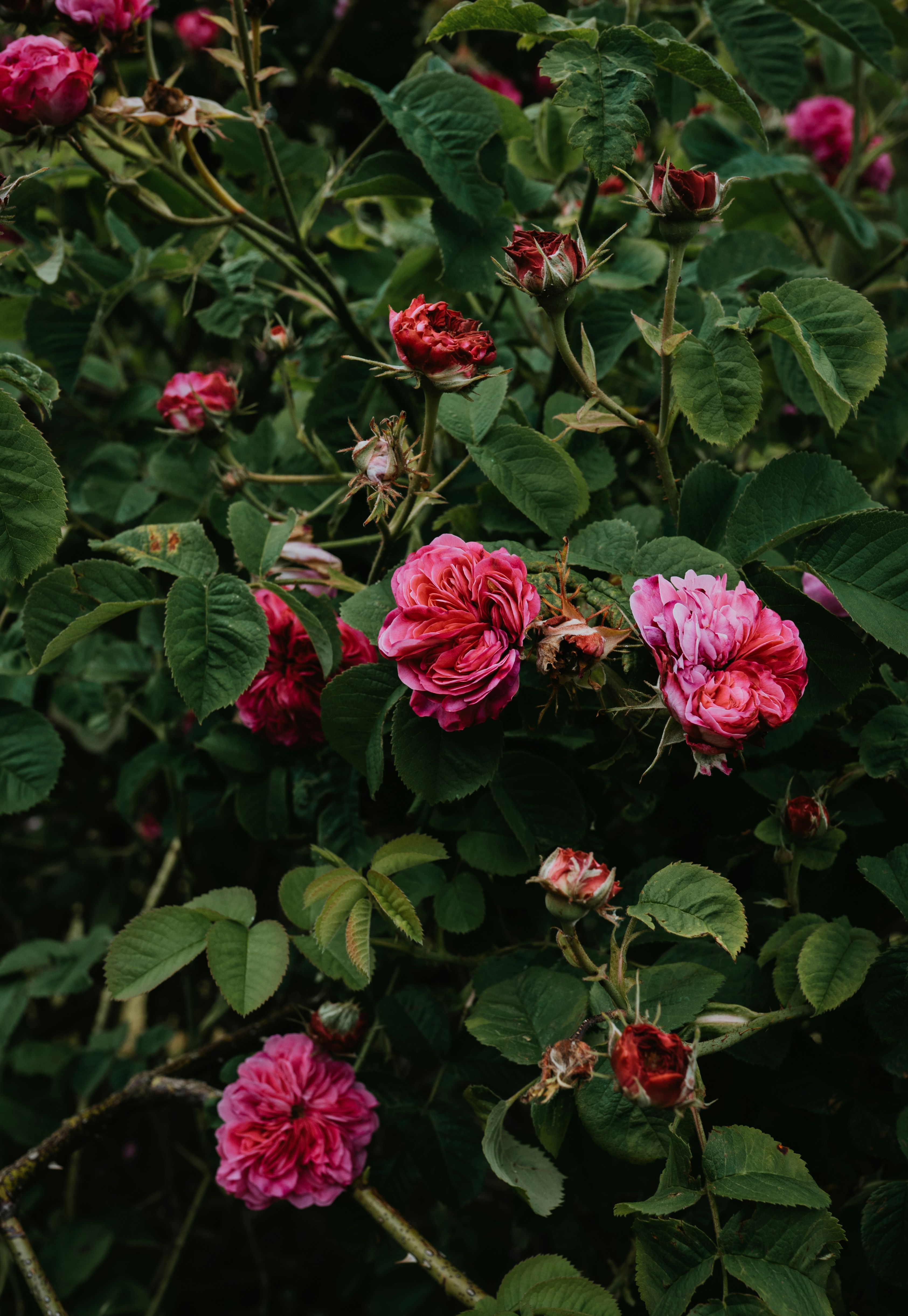 Photo by marinareich