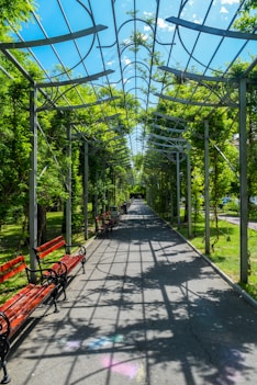 people sitting on bench under green trees during daytime