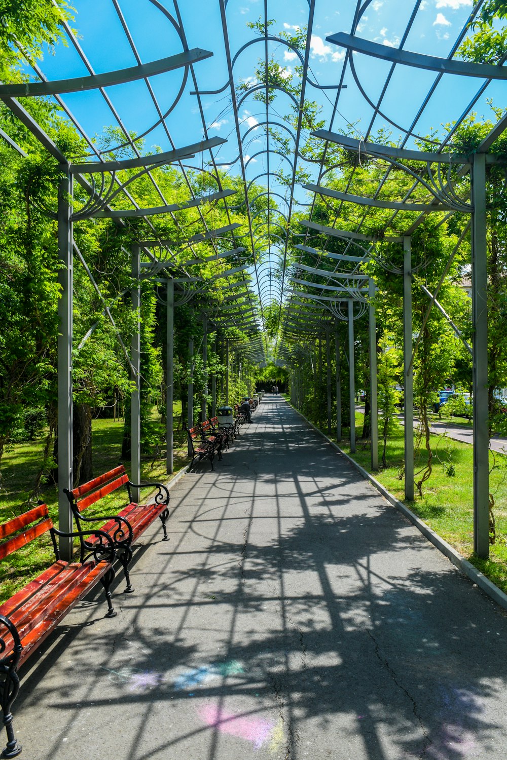 people sitting on bench under green trees during daytime