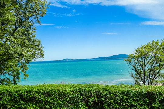 green trees near blue sea under blue sky during daytime in Burgas Bulgaria