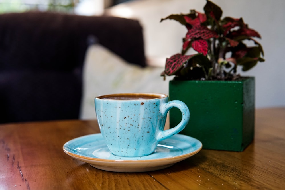 blue and white ceramic teacup on white ceramic saucer