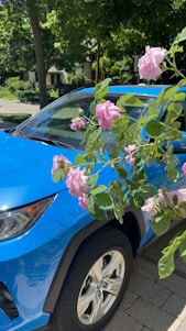 A bright blue car being detailed in a driveway.